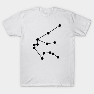 Aquarius Astrology Constellation T-Shirt